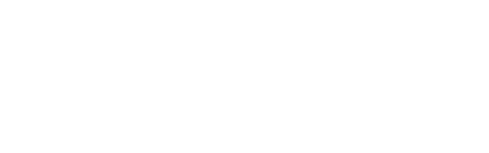 v-fast-white